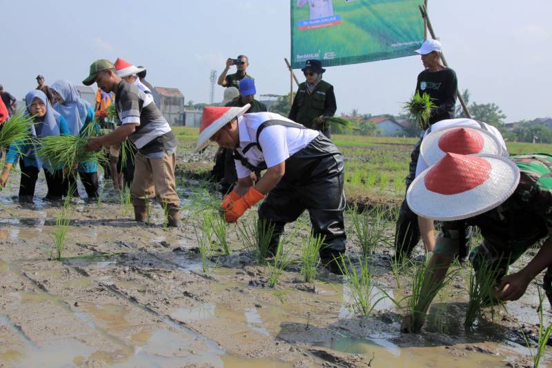 Wujudkan Ketahanan Pangan, Pj Wali Kota Tangerang Ajak Masyarakat Ber-Urban Farming