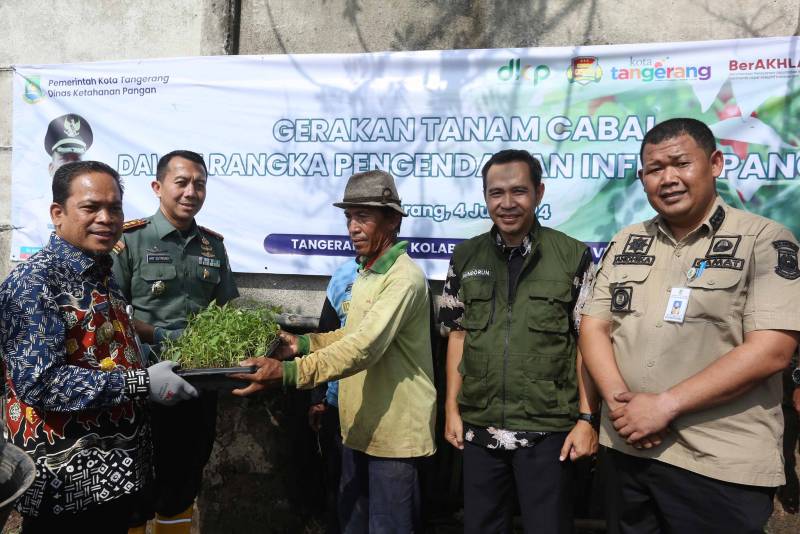 Pj Wali Kota Tangerang Pimpin Panen dan Tanam Cabai Serentak Bersama KWT di Kampung Jimpitan