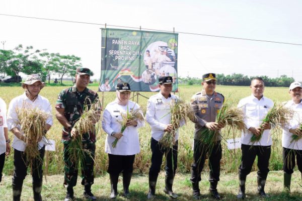 Bupati dan Wakil Bupati Tangerang Ikut Panen Padi Serentak di 14 Provinsi