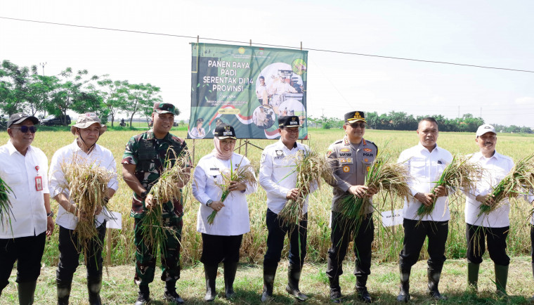 Bupati dan Wakil Bupati Tangerang Ikut Panen Padi Serentak di 14 Provinsi
