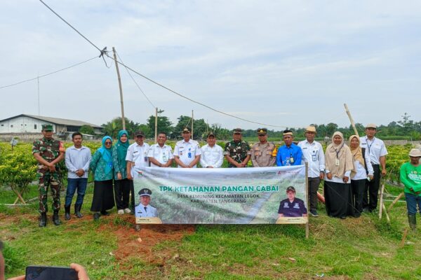 Dukung Ketahanan Pangan, Danramil Legok dan Muspika Tanam Jagung Bersama Warga
